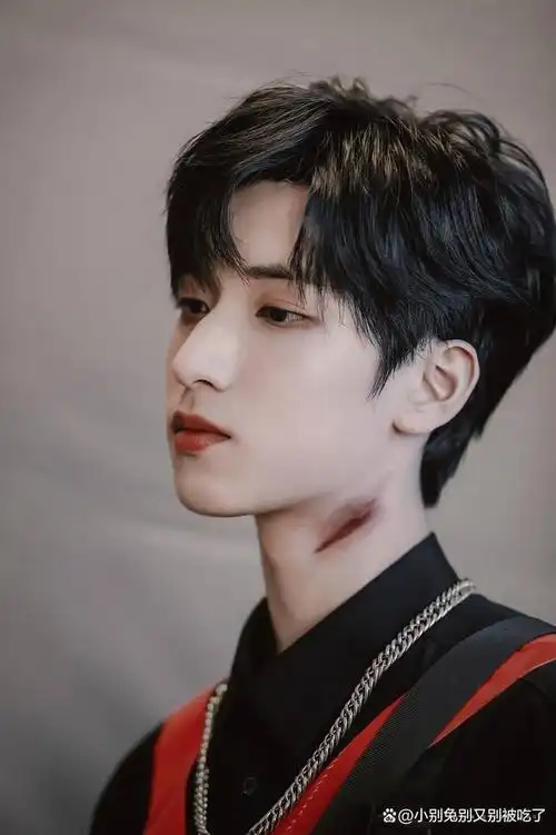 严浩翔是一位多次出道的偶像艺人,他最初在11岁时以super-u组合身份在