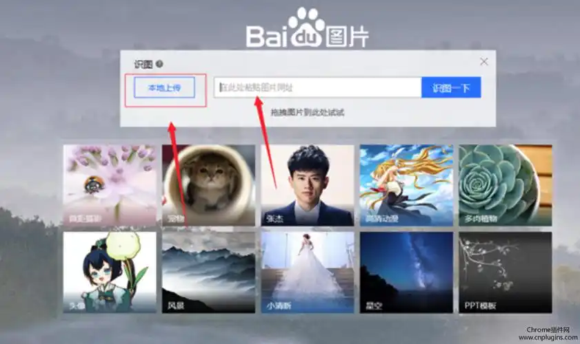教你如何使用百度识图识别不知名花的名字