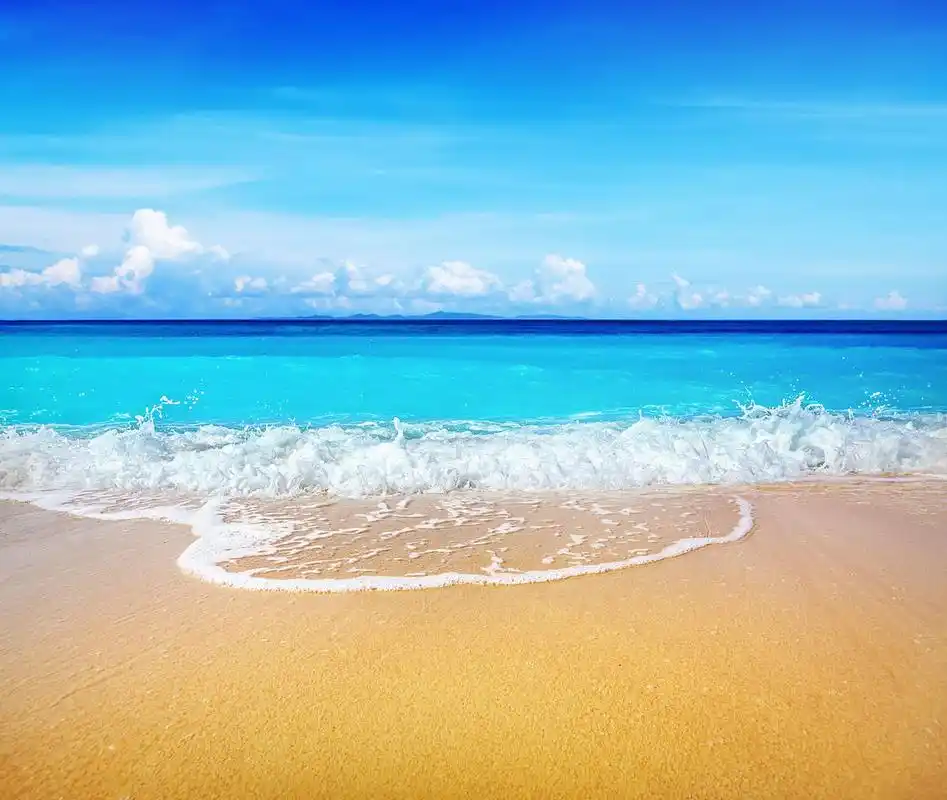 摘要: 在阳光照耀下,大海和沙滩构成了一幅美丽的画卷.