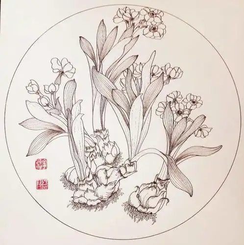 把钢笔白描进行到底——叶志军先生的钢笔白描水仙系列作品分享