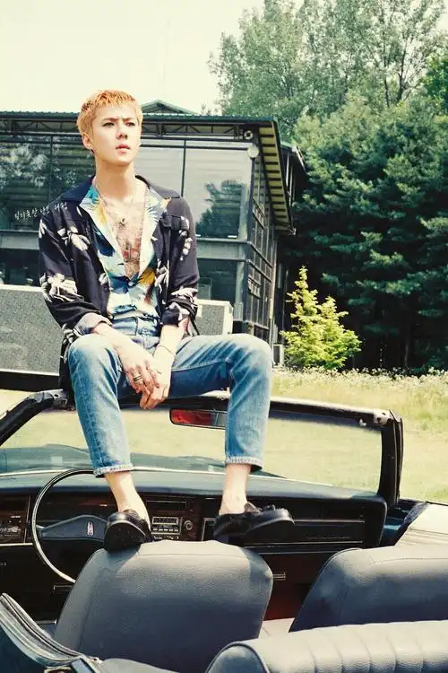 exo吴世勋kokobopthewar