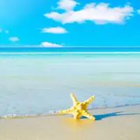 qq头像沙滩唯美意境绝美的qq头像风景唯美沙滩图片