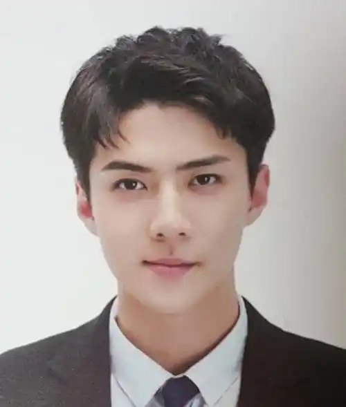 exo证件照大全,每一张都是完美级容颜,值得一辈子珍藏_朴灿烈_张艺兴