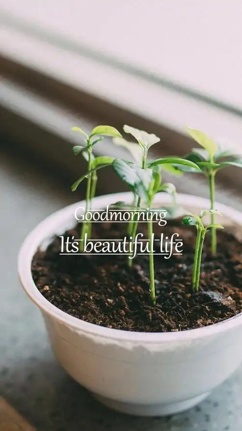 唯美早安英文字母锁屏