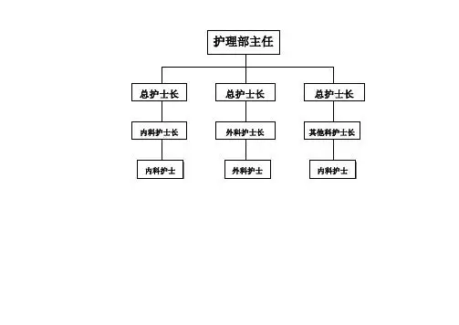 护理部主任 总护士长 总护士长 总护士长 内科护士长 外科护士长 其他