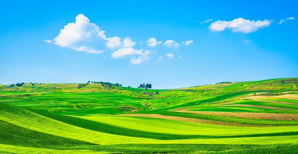 蓝天白云绿草地自然风光apulia countryside view rolling hills