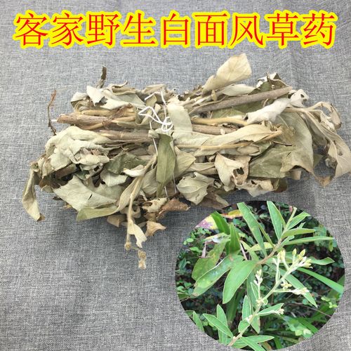 野生客家白面风草药山白芷乌脚鸡寻骨风月子洗澡除风的草药