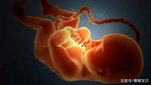 还会皱眉头,这样的活动其实也是一种锻炼,能促进胎儿大脑的发育