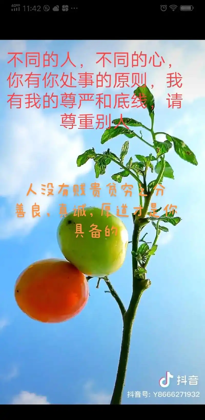 善良有尺忍让有度  #善待身边人心怀慈悲 #人生感悟,句句 - 抖音