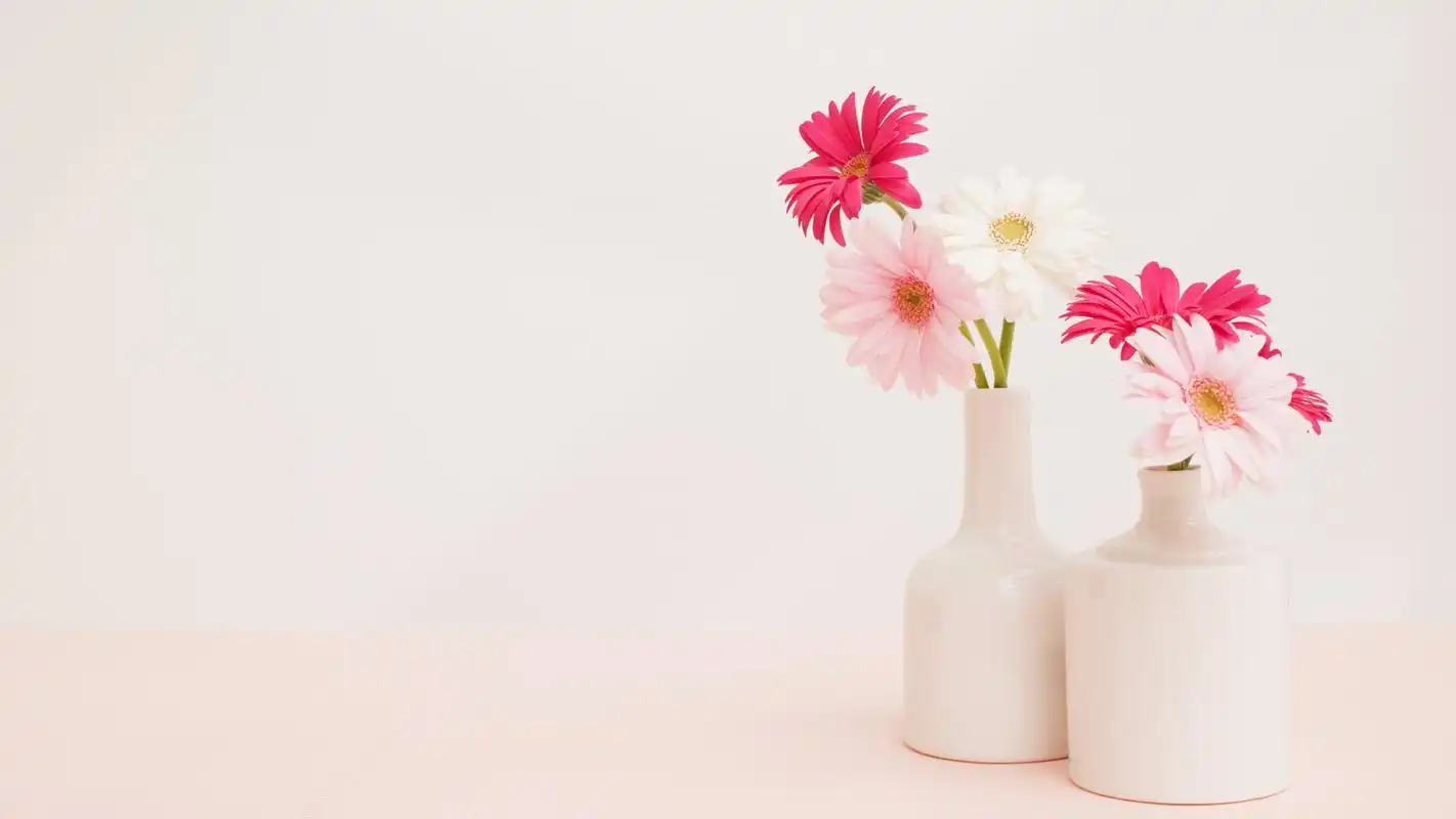 小清新盆栽唯美清爽高清桌面壁纸-植物壁纸-壁纸下载-美桌网