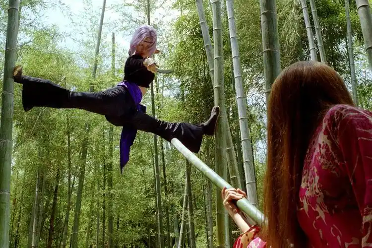 《十面埋伏》中的竹林打斗镜头换了主角而已