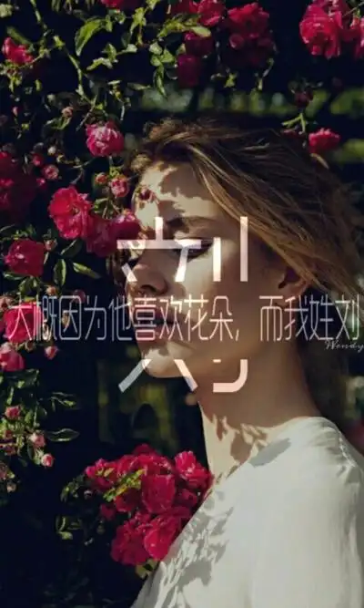 姓氏壁纸〕大概因为他喜欢花朵,而我姓刘——wendy制作