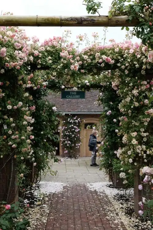 海妈花园访问2019英国奥斯汀玫瑰园朝圣之旅