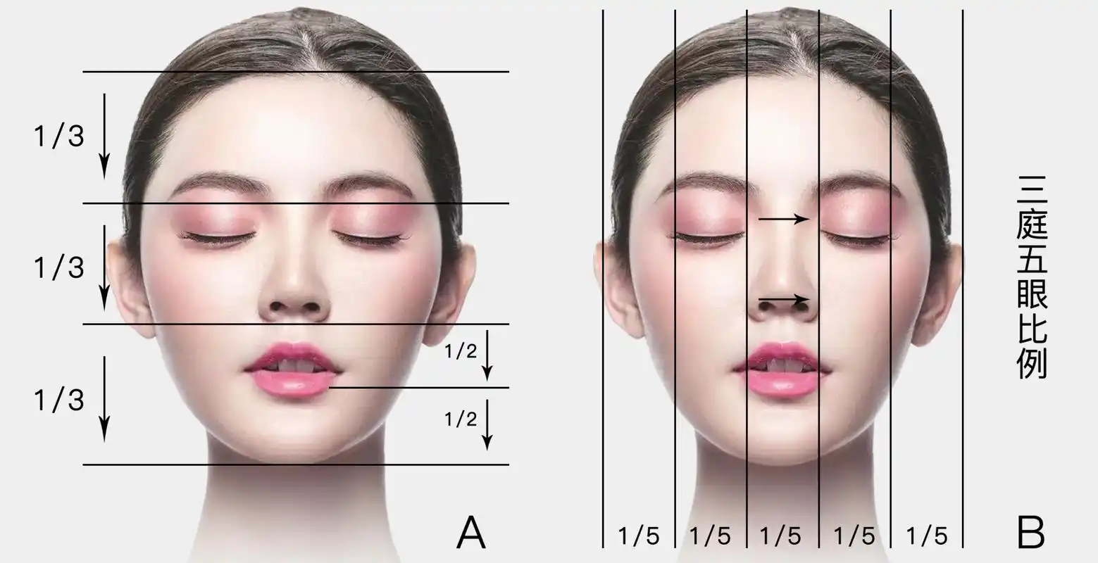 别再做错了,医美不是呆板的数字,三庭五眼只是参考不是模版