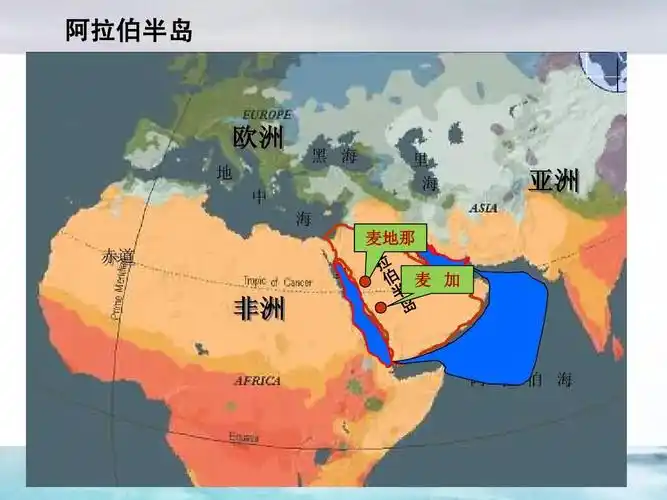 13.阿拉伯帝国ppt_word文档在线阅读与下载_免费文档