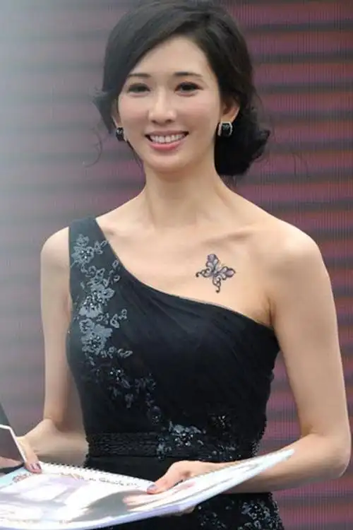 林志玲胸部的简单介绍