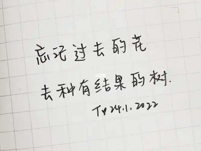 手写忘记过去的花去种有结果的树