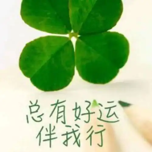 总有好运伴我行.
