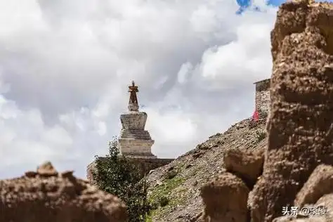 王菲为什么是肉莲,王菲密宗双修内部照片_科学-巨铭百科网