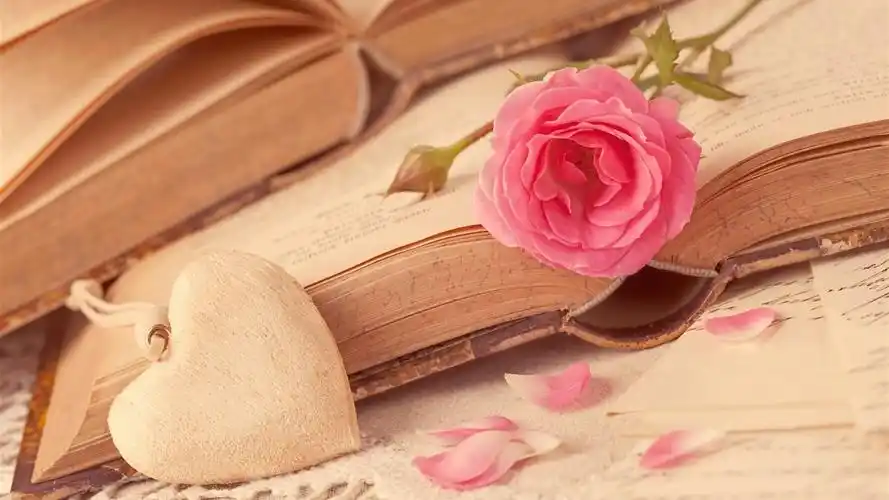 粉红色的玫瑰花朵,爱的心,书 壁纸 - 1600x900