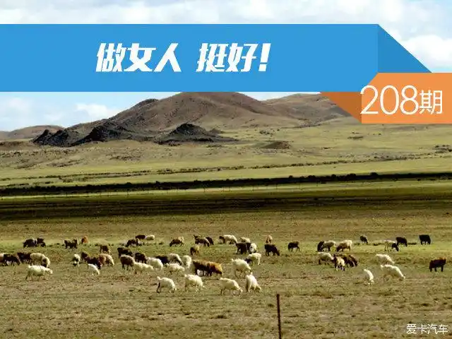 社区日报第208期做女人挺好