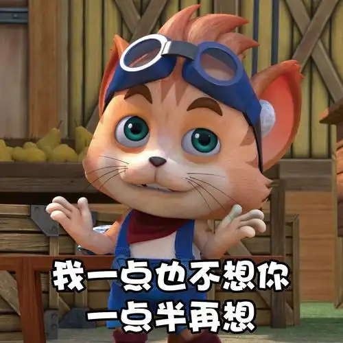 探探猫表情包:致粉丝:我眼里心里都是你,满屏都是爱