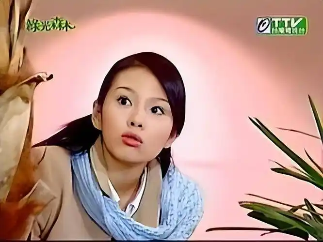 刘品言:凭借"阿奴"爆火,与阮经天恋爱星途尽毁,如今怎么样了_事业