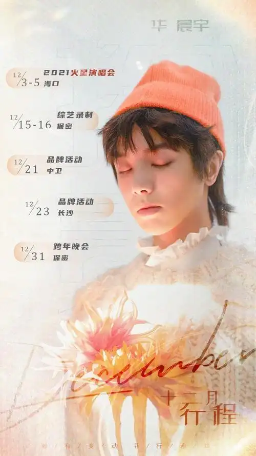 华晨宇十二月行程