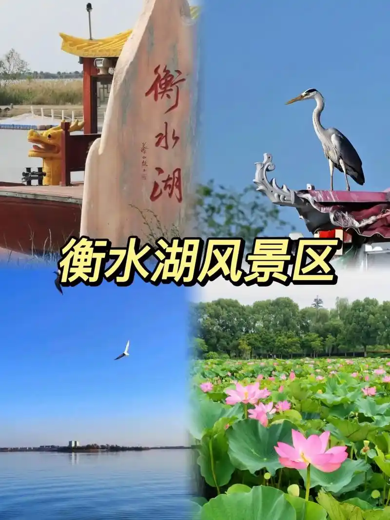 衡水湖旅游景区.