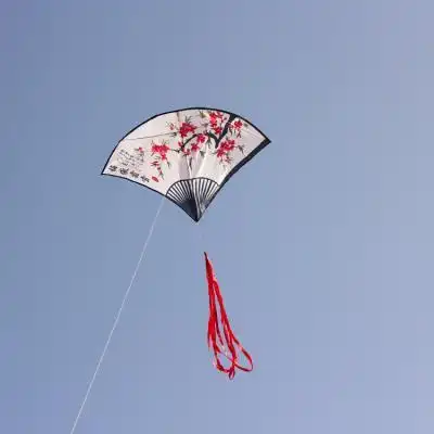 新品2019新款追风者544伞布风筝成人儿童小型高档扇子微风易飞.