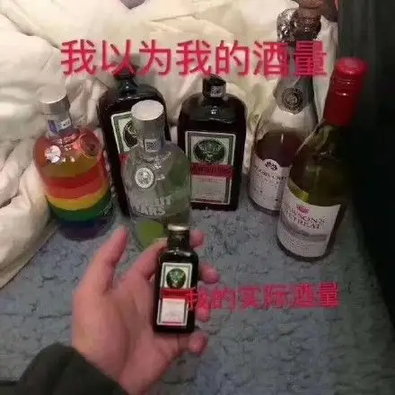 我以为我的酒量vs 我的实际酒量_酒量_vs_以为_实际表情