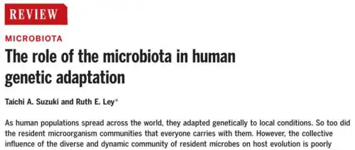 posts tagged"饮食"