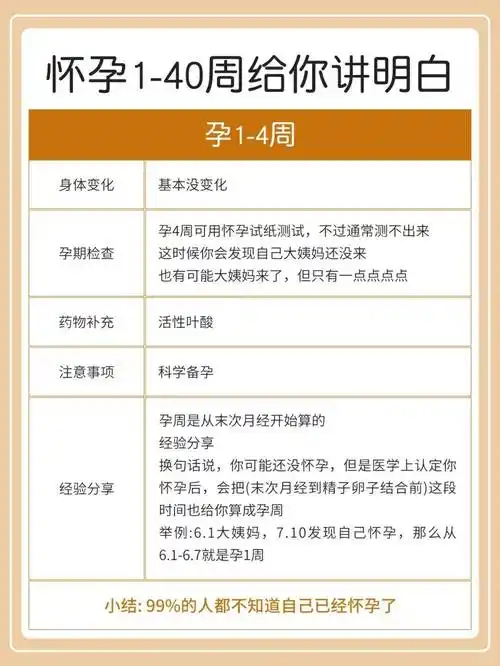 为什么没人把怀孕1-40周的事情一次性讲明白_检查_进行_变化