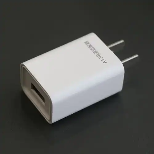 锐拓剃须刀a12电源适配器5v1a 充电头 适用于剃须刀充电器 白色