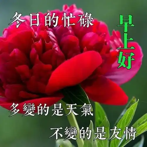 2021年11月27日冬日周六清晨问候大家早上好漂亮动态表情图片早晨好