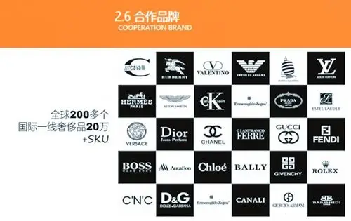 驻川商会领导考察奢侈品创新项目