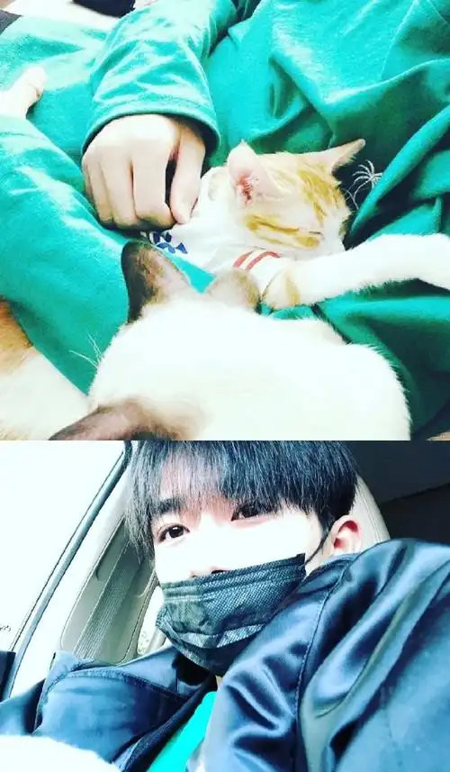 易烊千玺壁纸#易烊千玺超话易烊千玺网络热门头像大合集