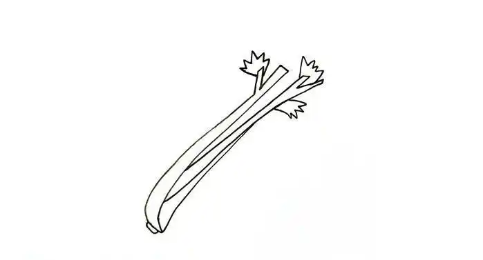 芹菜简笔画,学会了就可以拿去炫耀啦!-六学艺术手工网