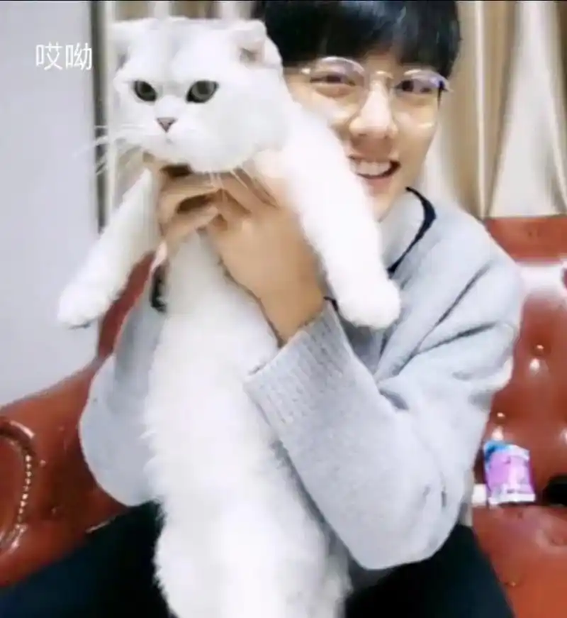 肖战 #肖战顺顺利利 #猫系男友  - 抖音