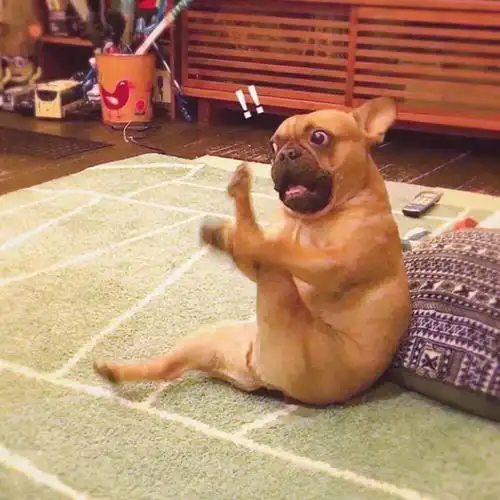 沙雕搞怪趣味头像