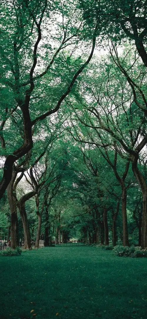 首发系列4k超高清手机壁纸汇总版