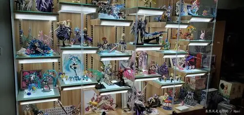 相册:全柜 by 虽然风是无形的 | hpoi手办维基