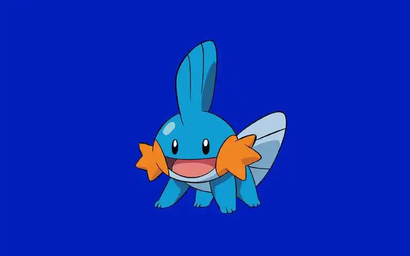 可爱宠物小精灵高清桌面壁纸