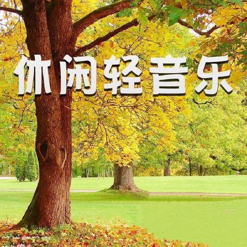 轻音乐u盘咖啡馆西餐厅spa养生馆美容院背景纯音乐汽车载家用优盘mp3