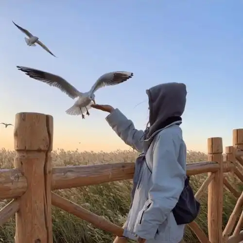 头像值得长期不换的wechat头像