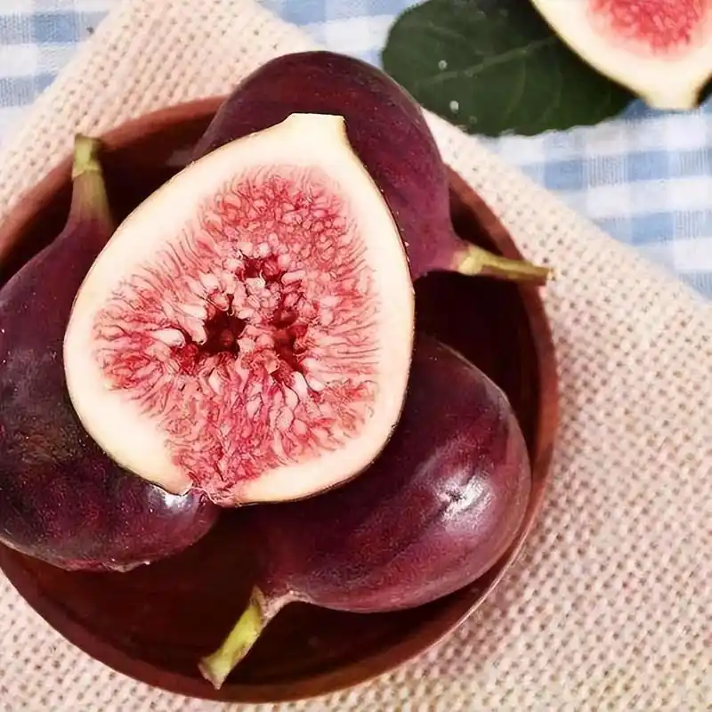 精品果苗——波姬红无花果