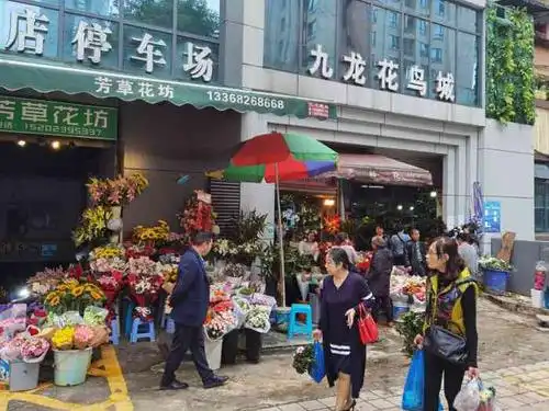 九龙花鸟城-"在杨家坪杨馨酒店旁边有一家九龙花鸟城,来.