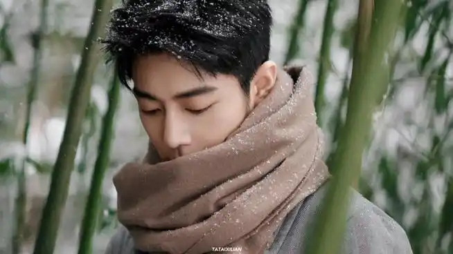 肖战冬至竹林大片##肖战盛阳