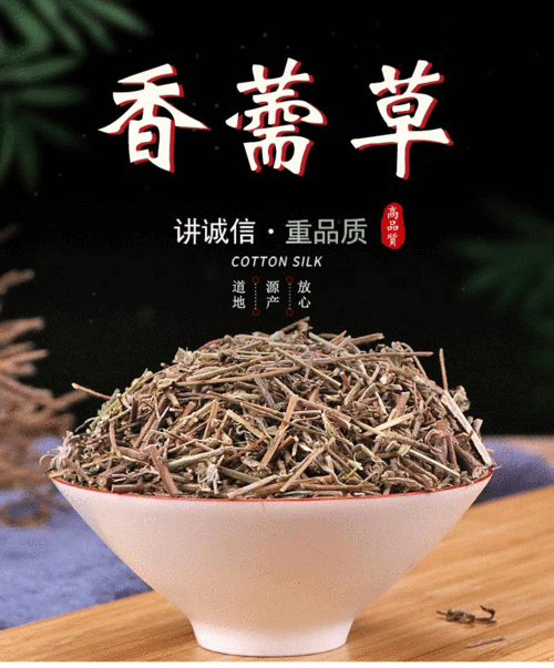 批发供应中药材 香薷 香薷草 品种齐全 承接订单 代磨粉 大货供应