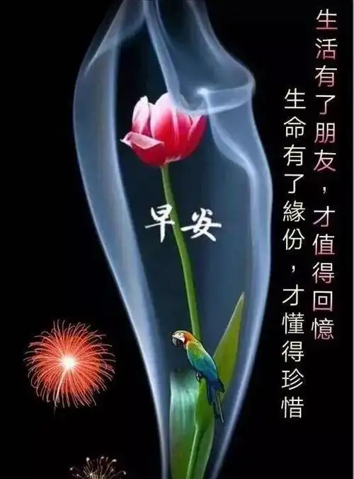 冬天问候大家早上好暖心祝福语短信最新早上好漂亮表情图片